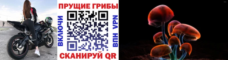 Псилоцибиновые грибы GOLDEN TEACHER Елизово